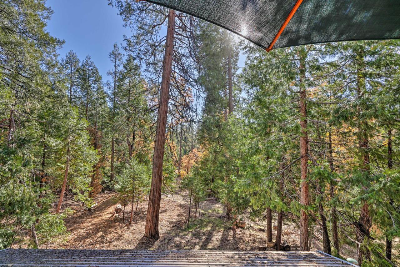 Quiet Twain Harte Cabin With Deck And Forest Views! Dış mekan fotoğraf